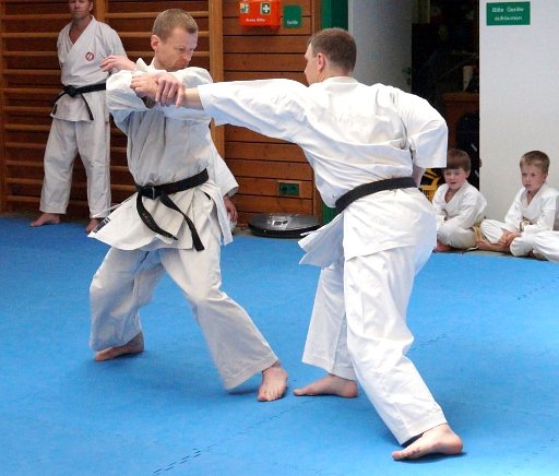 DSC03779 (Large).JPG